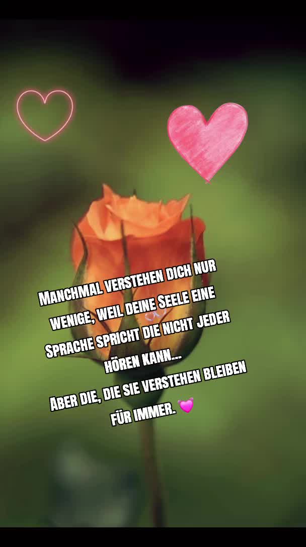 @❤️ HABIBI ❤️
