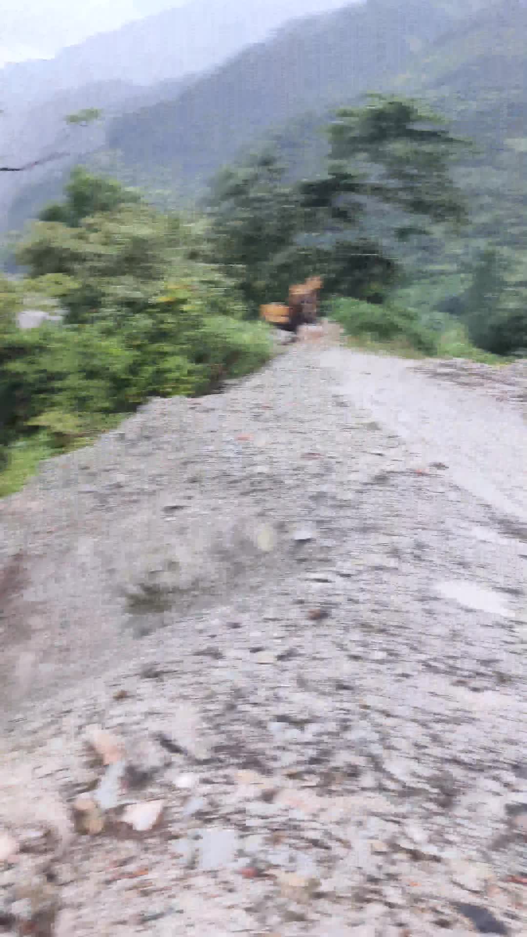 @MR:LIMBU.🇳🇵