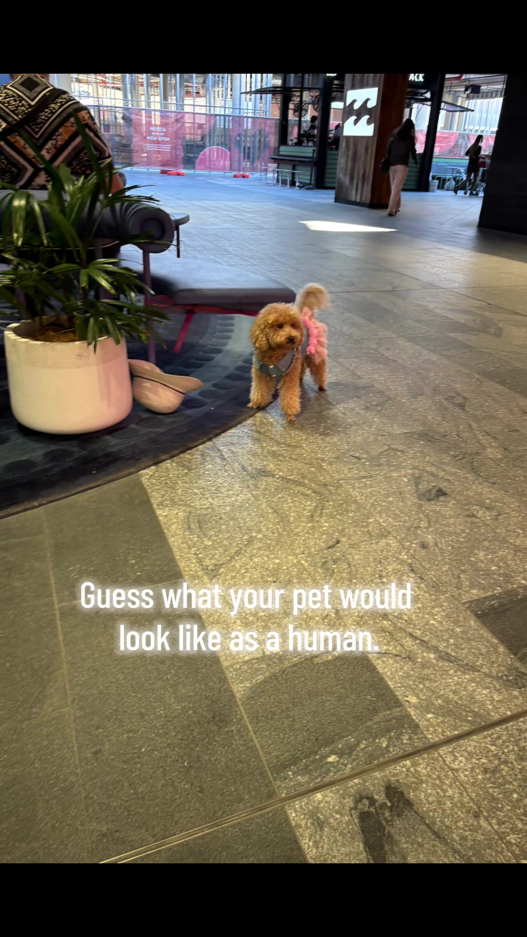 @SmileySarah32 🤡
