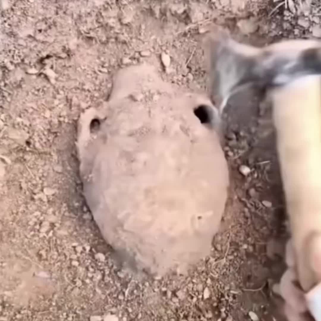 @clumsii