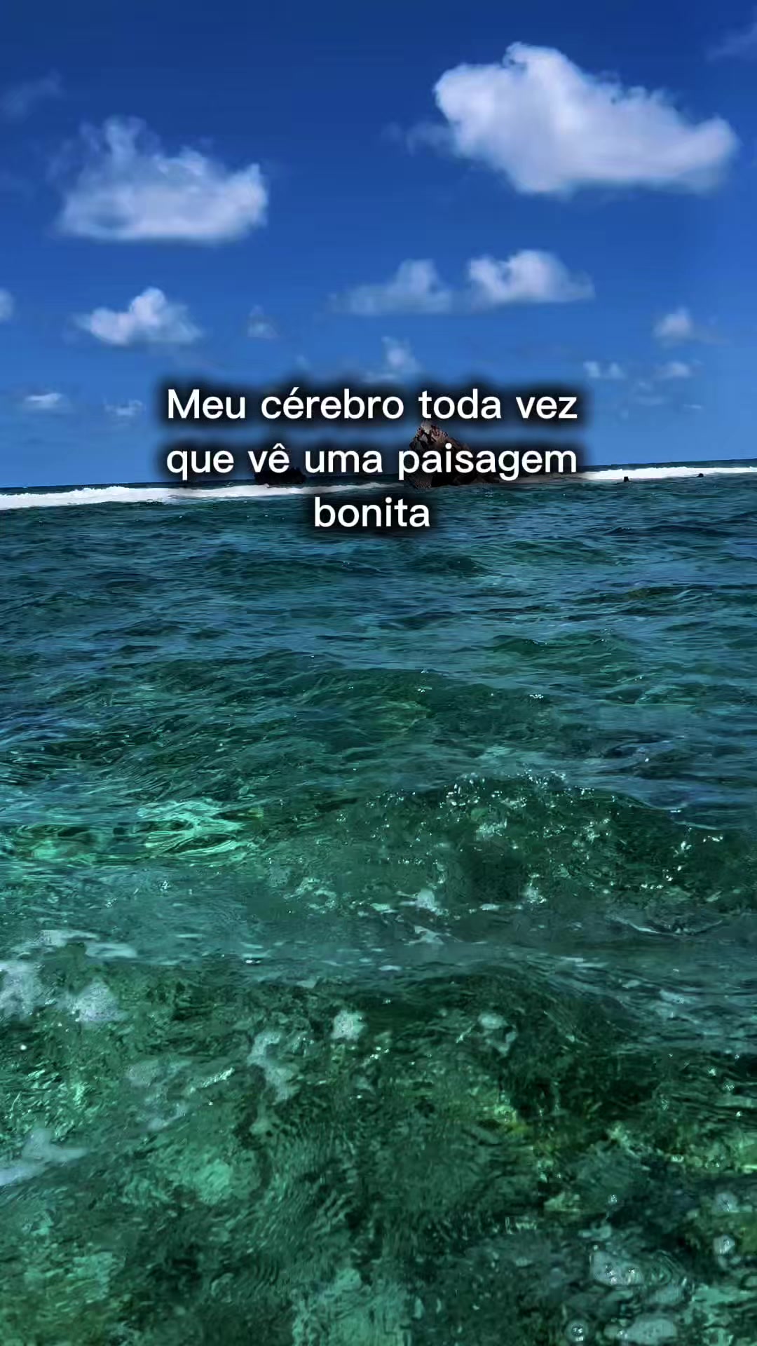 @Melissa Ribeiroo