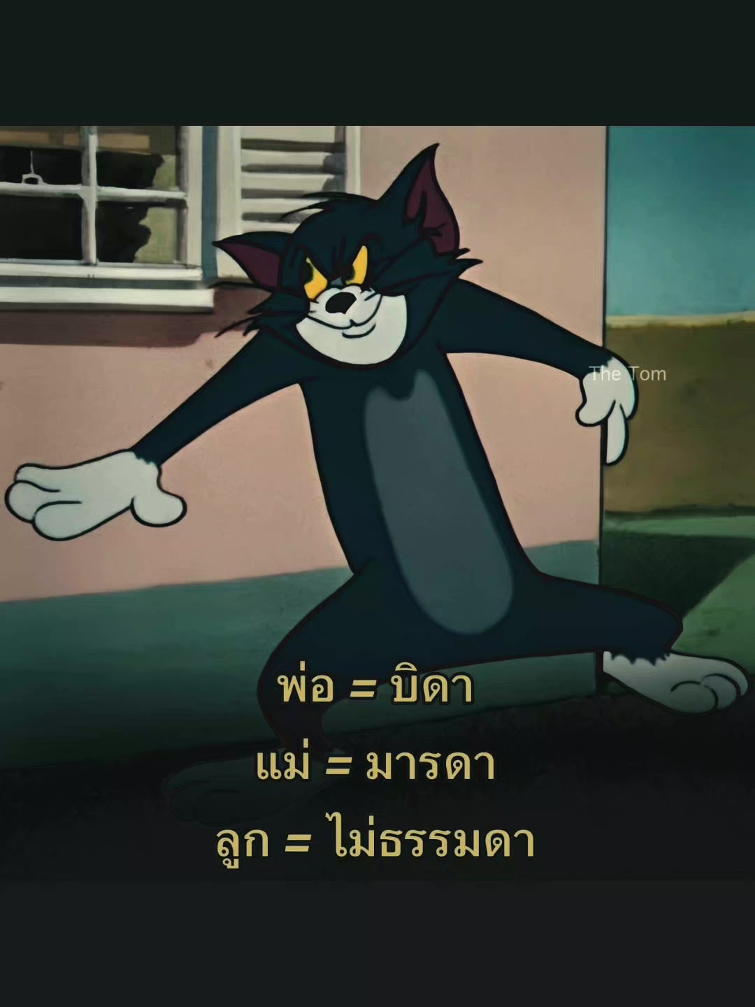 @มาดูอะไรรรรร