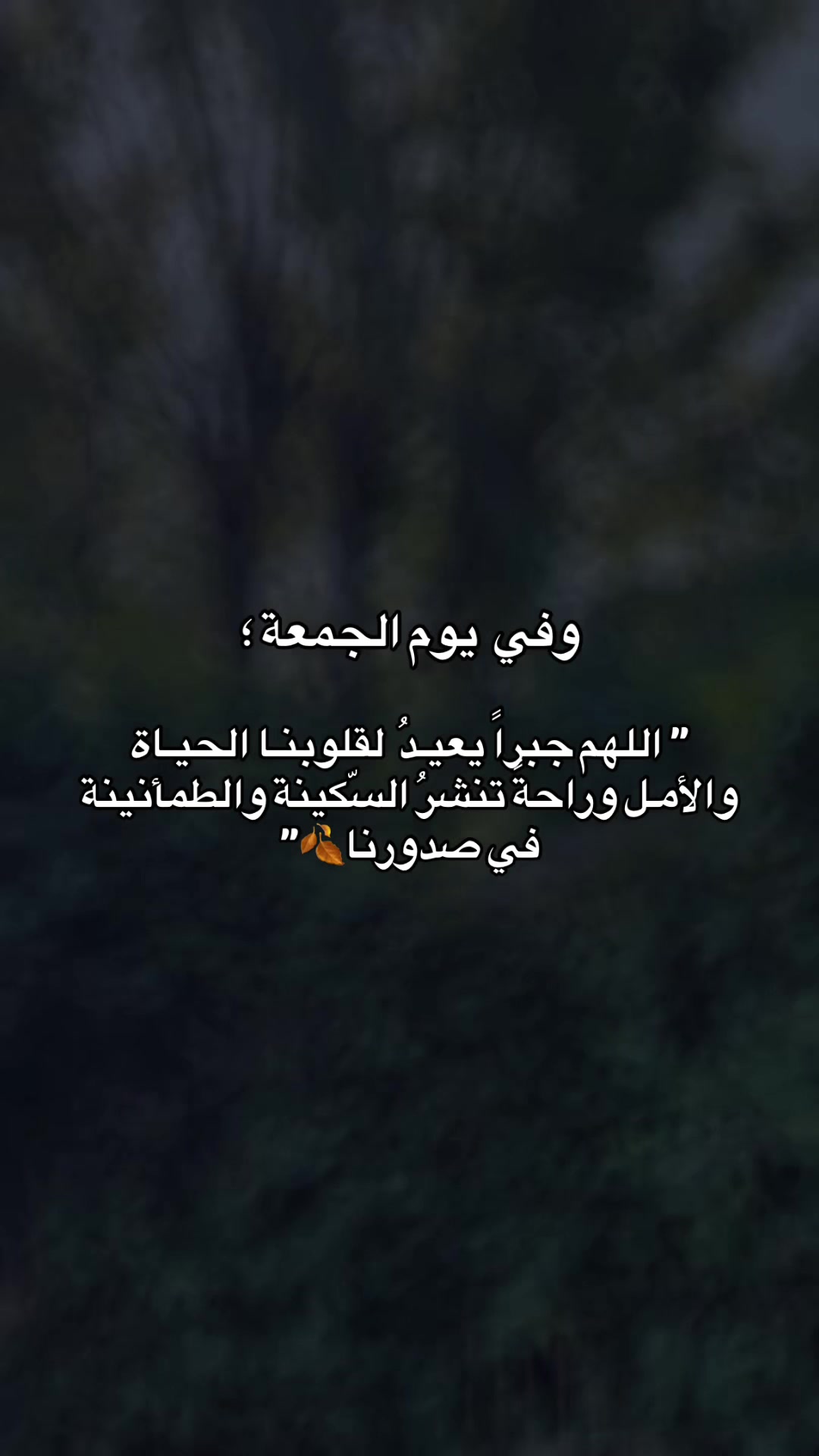 @๐๐ถ๐ฎ๐ต_๐ผ๐๐๐๐ฆ