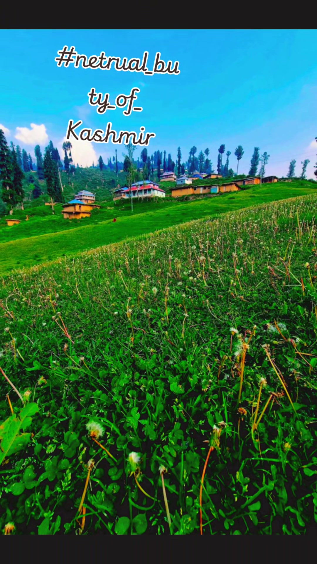 @umar Kashmiri,,,, 804