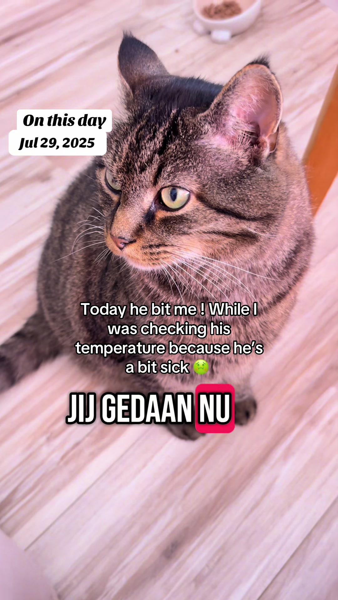 @Joep_the_ rescuecat