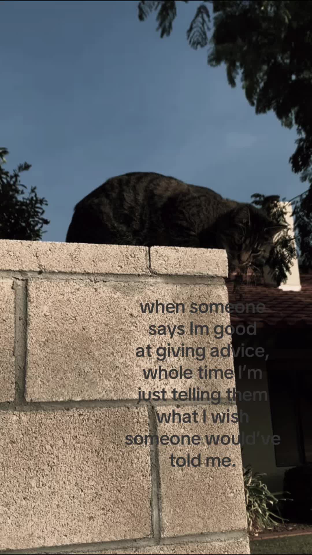 @𝒿𝑜𝓈𝒾𝑒🪽་༘