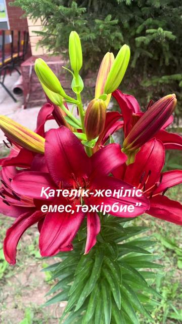 @Асем04.02