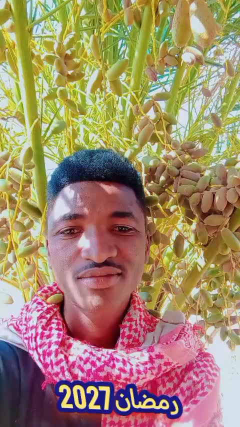 @حامدشعيب ودشمار 🇸🇩🇳🇬⚔️