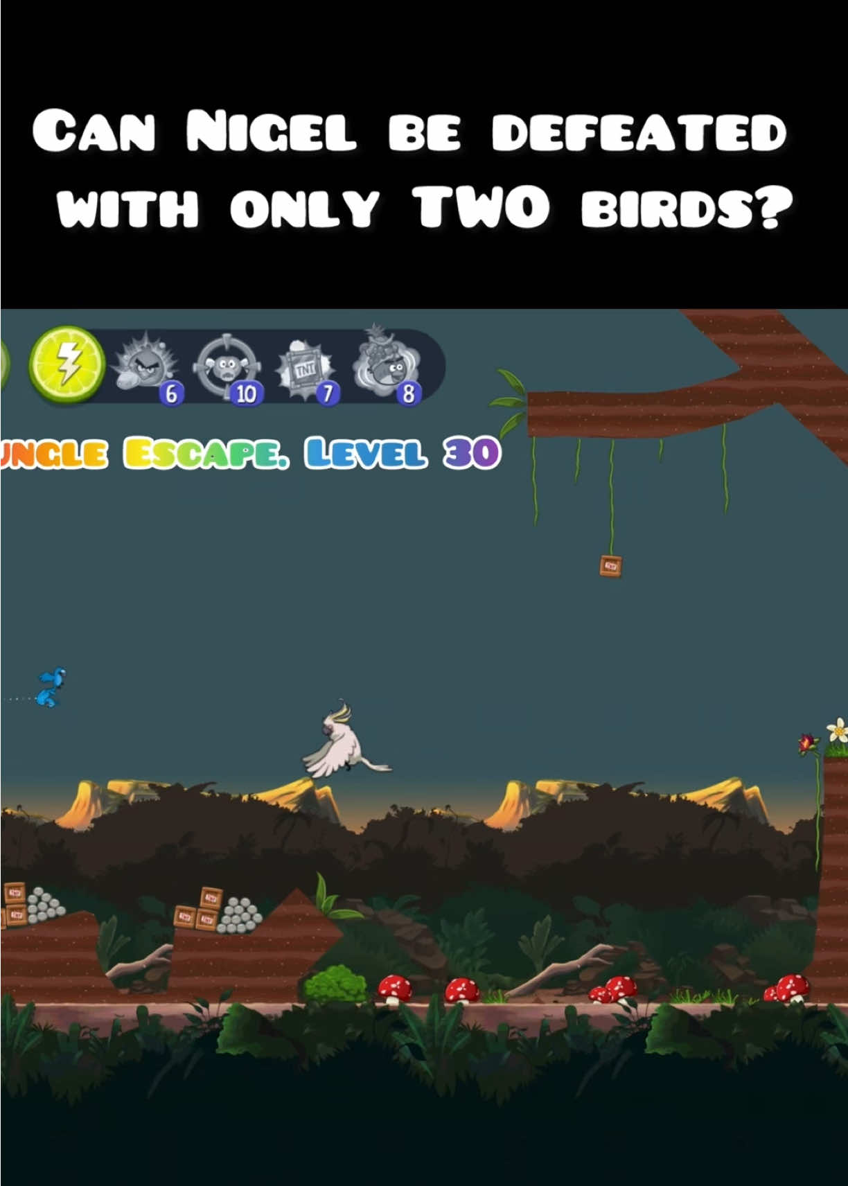 @Angry Birds Nostalgia
