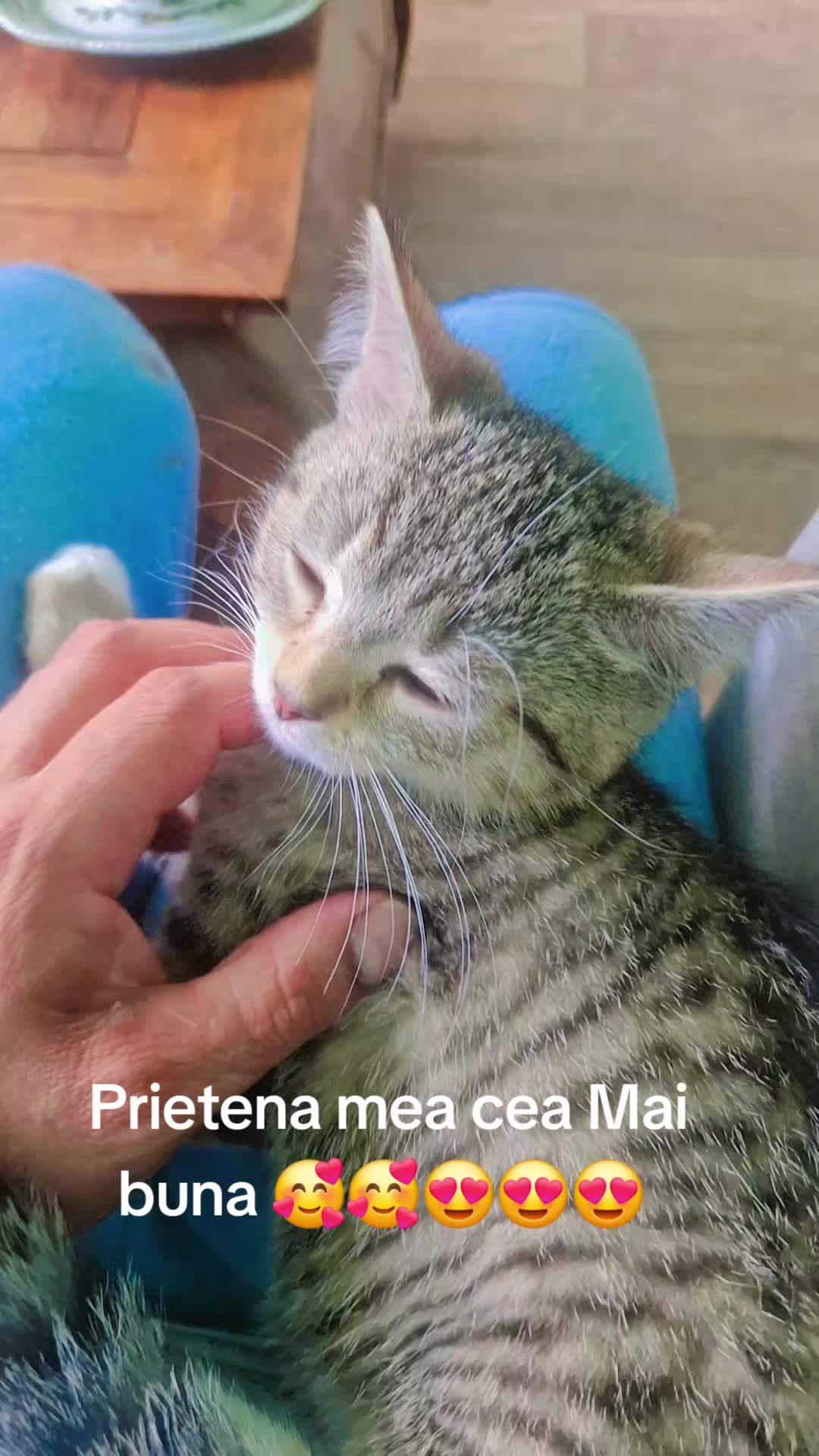 @filipo