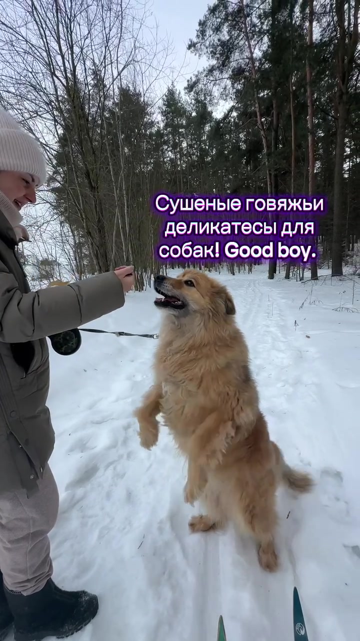 @Минск|ТатьянаХацкевич|Беларусь