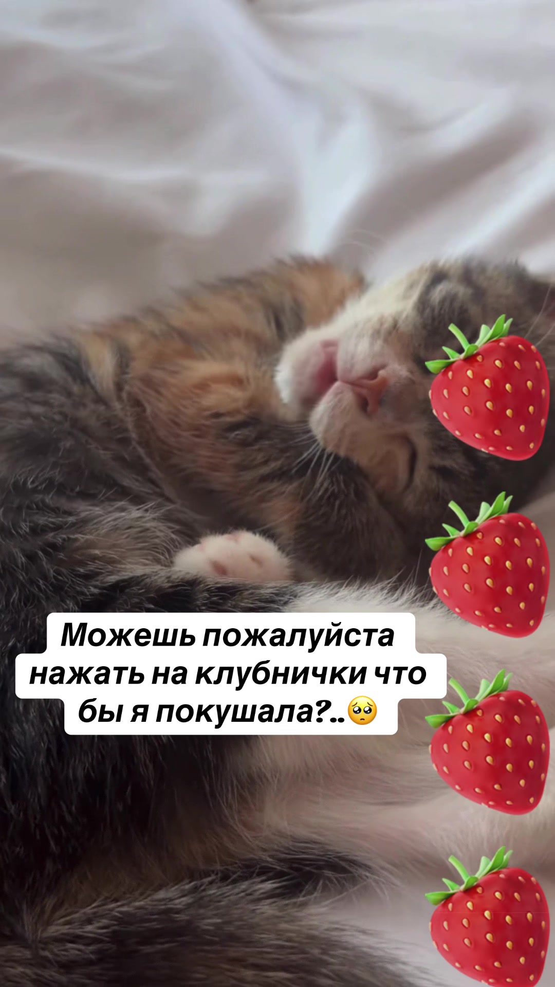 @kaboompriut