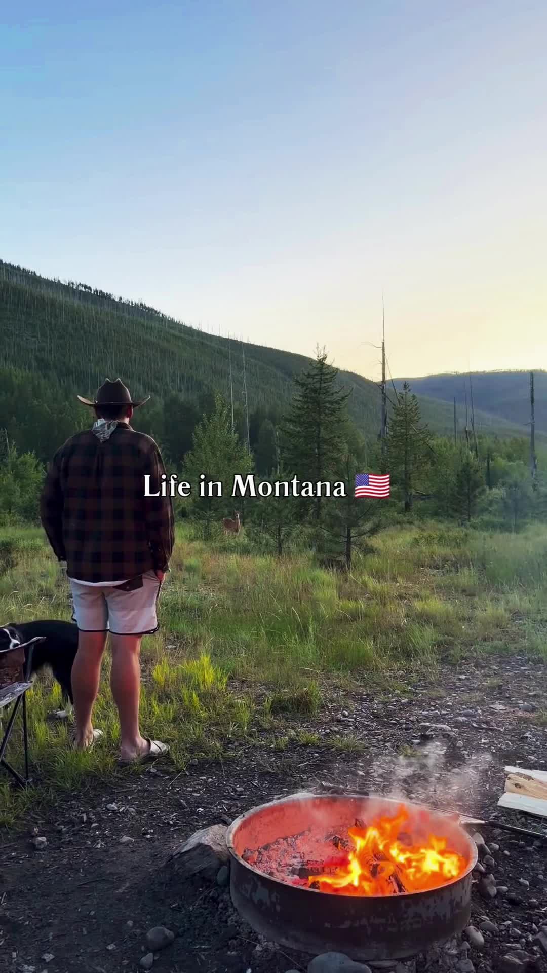 @montanamattproperties