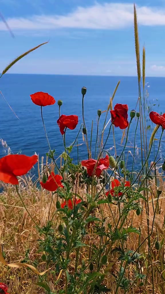 @АннА