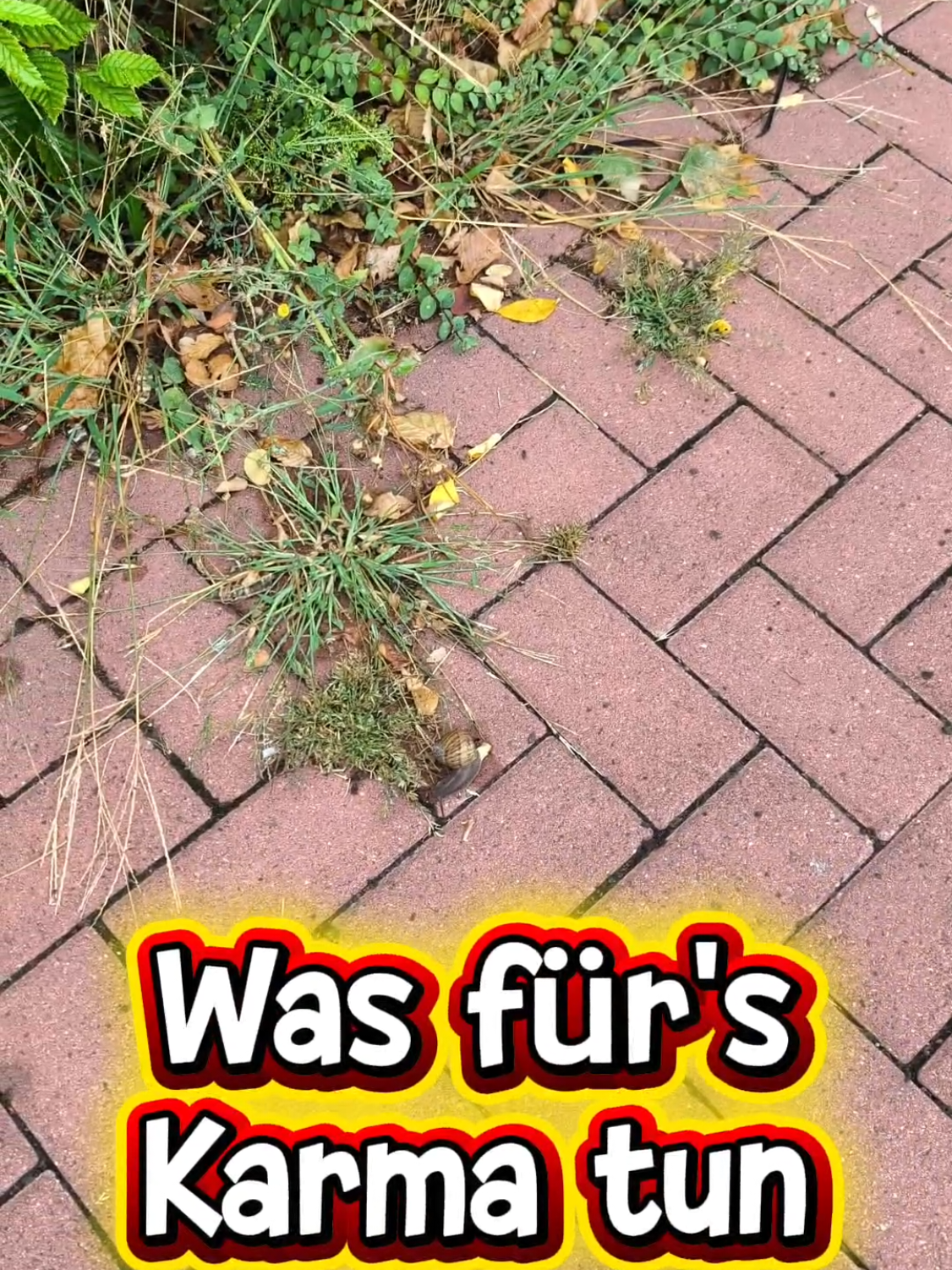 @ICH BIN'S