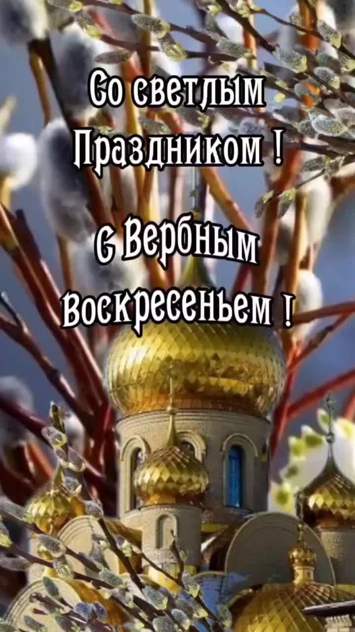 @серый