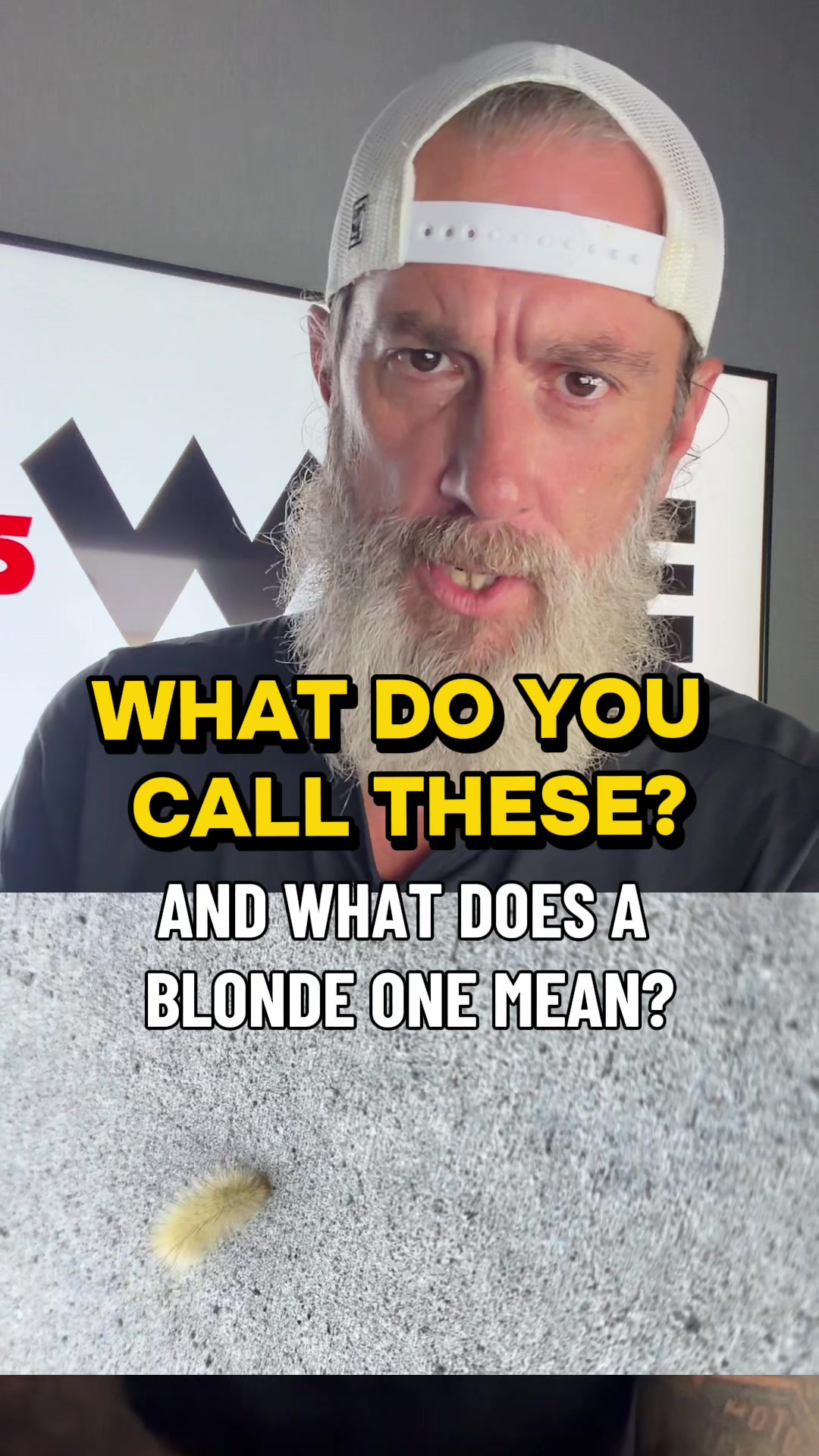 @Chad Tyson