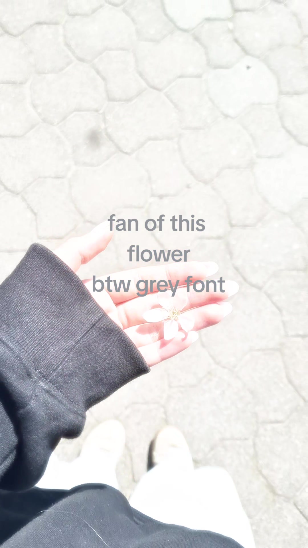 @<3