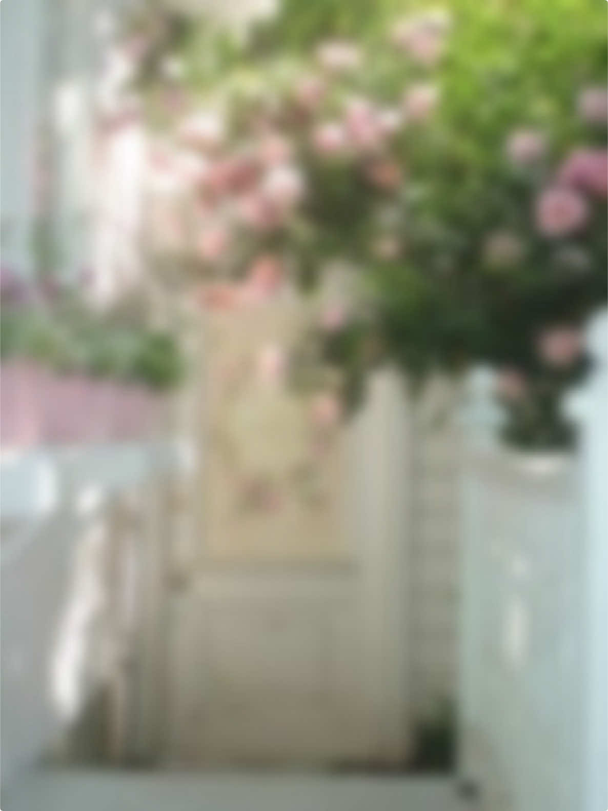 @⃘໋ׅ♡ ׅ𝘆ᩘ𝘂𝗺ֹׂ𝗲͟𝗶 !