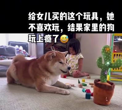 @Jillene 吉琳🌷🌷🌷
