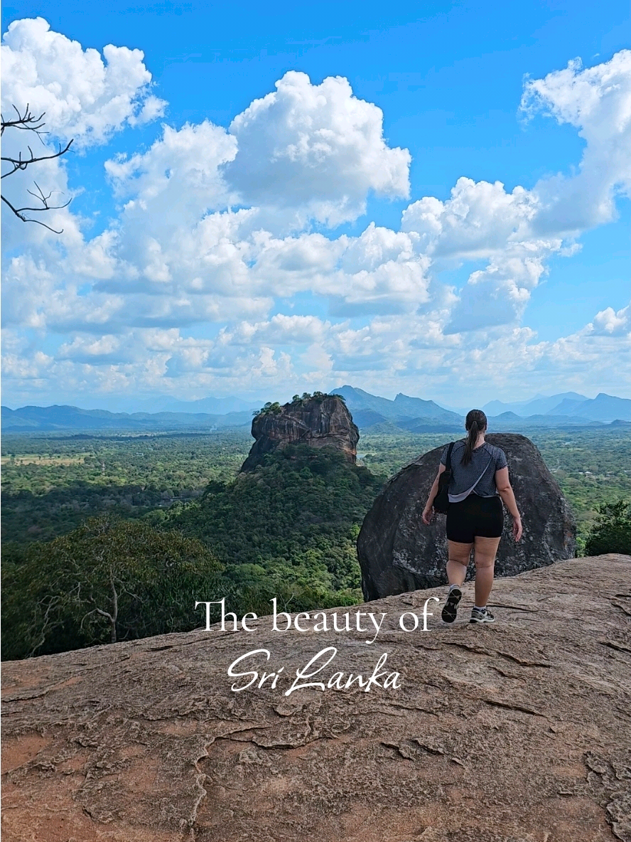 @Dodgertravels