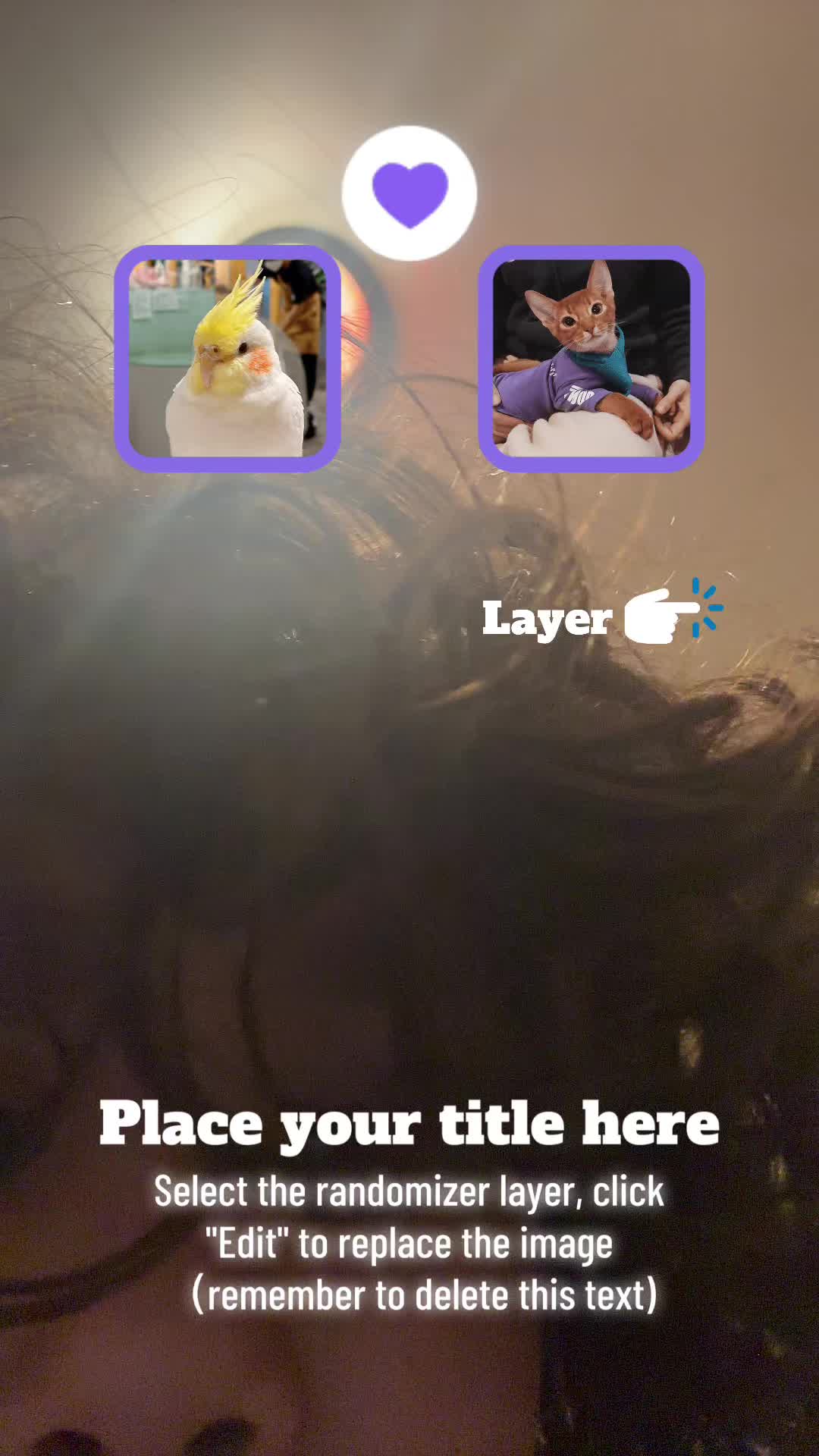 @marissanchez