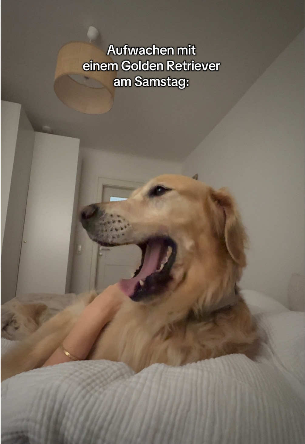 @Reese