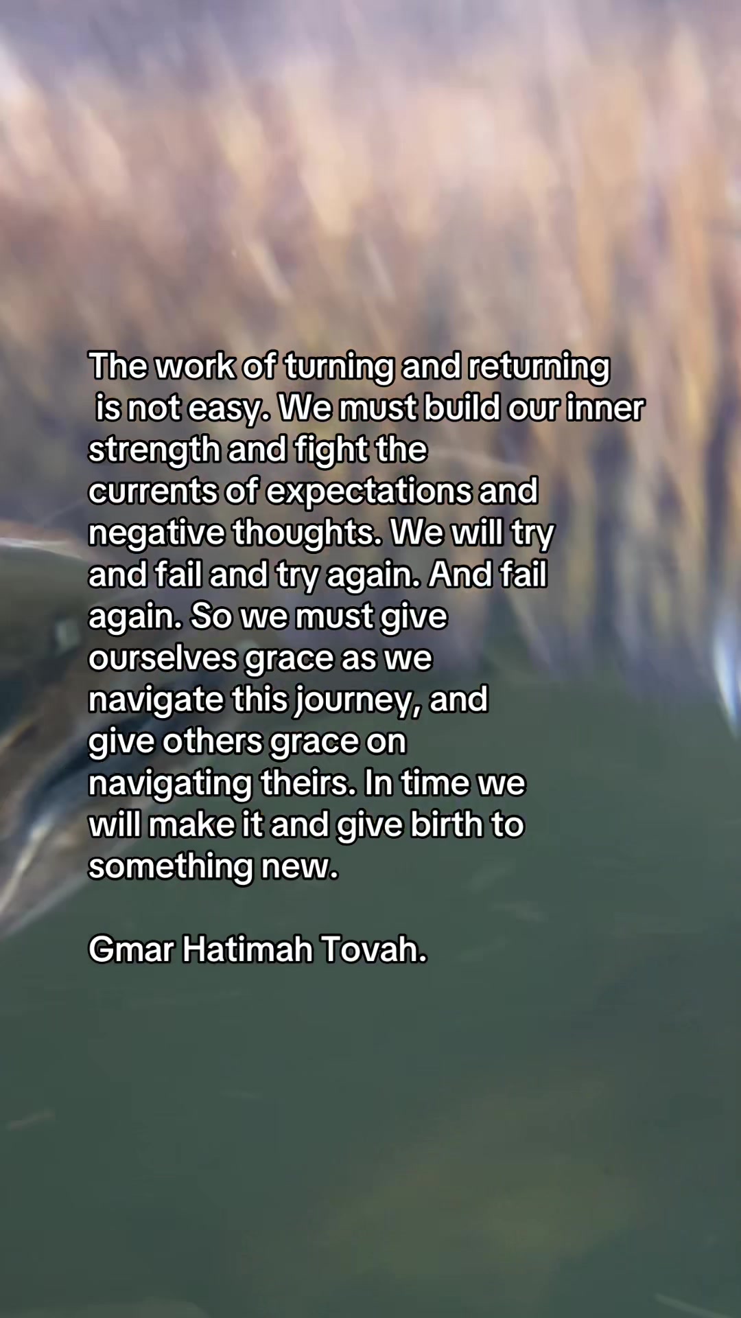 @Rabbi Seth Goldstein