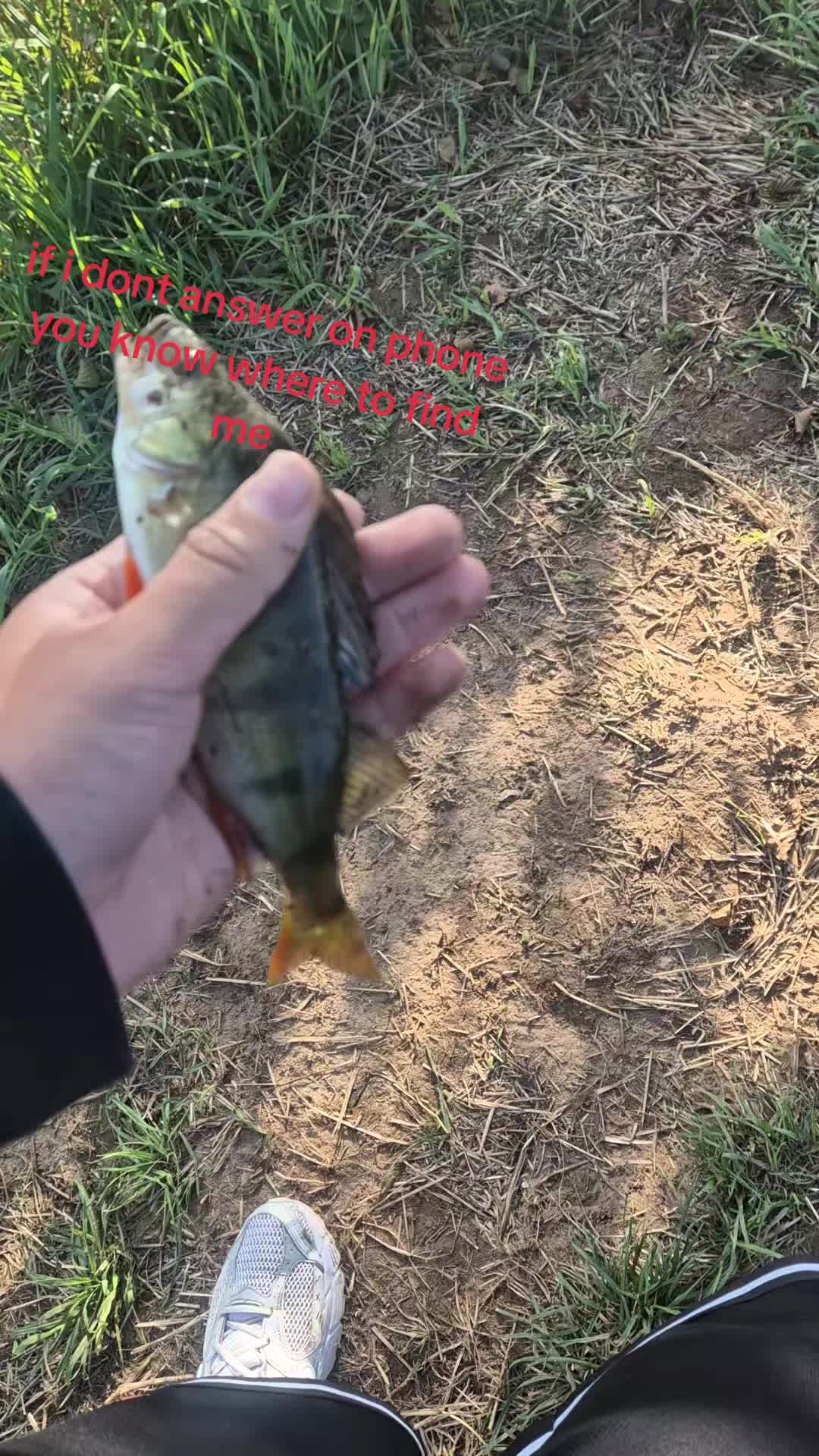 @j_than2 stroke
