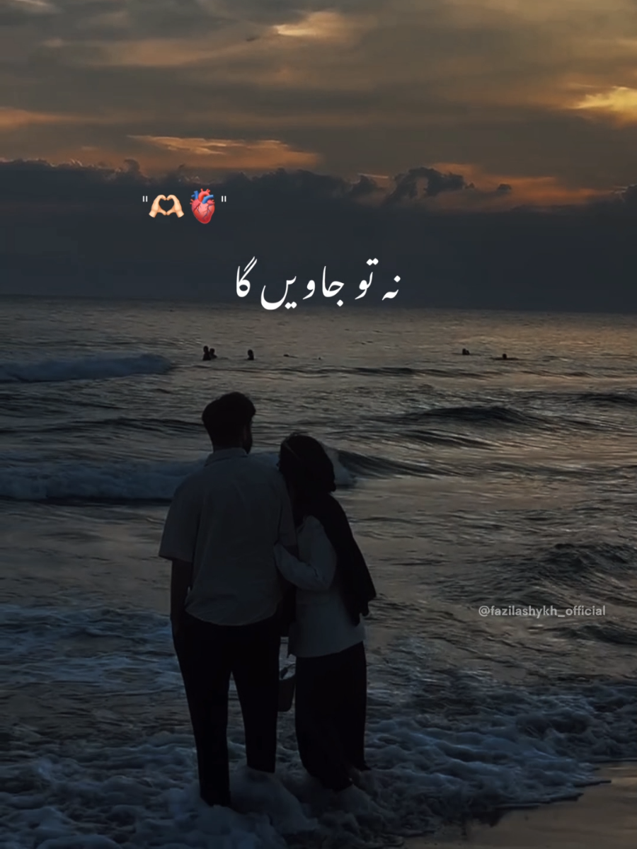 @ℱ𝒶𝓏𝒾𝓁𝒶 𝒮𝒽ℯ𝒾𝓀𝒽 ❣︎