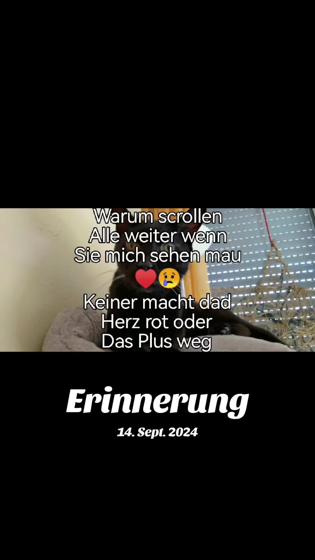 @juli🇩🇪🇺🇸🇷🇺