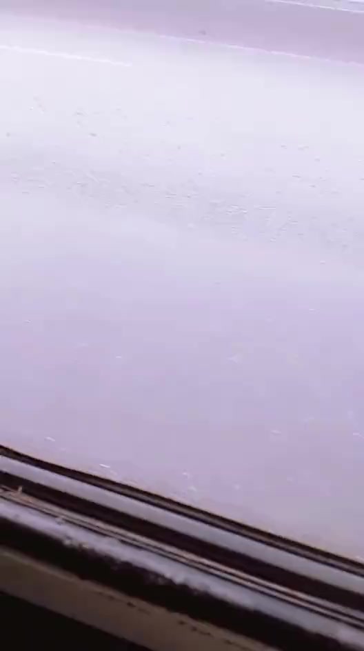 @𓆩♡𓆪 𝓐𝓫𝓮𝓮𝓻𝓪🚩