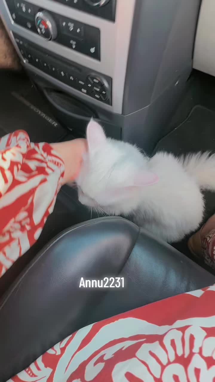 @annu_2232