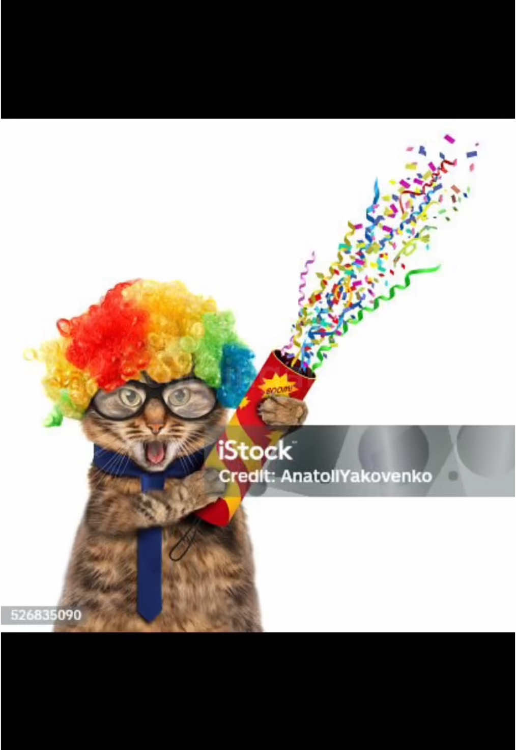 @catdingaling
