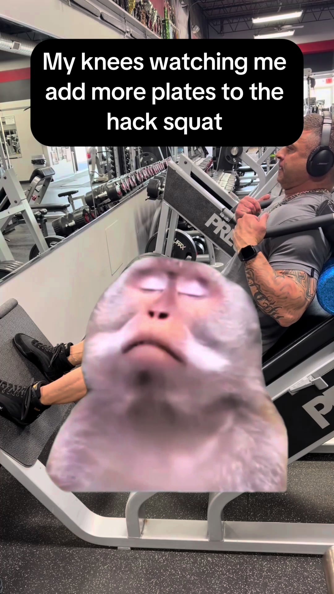@anabolic_aholic