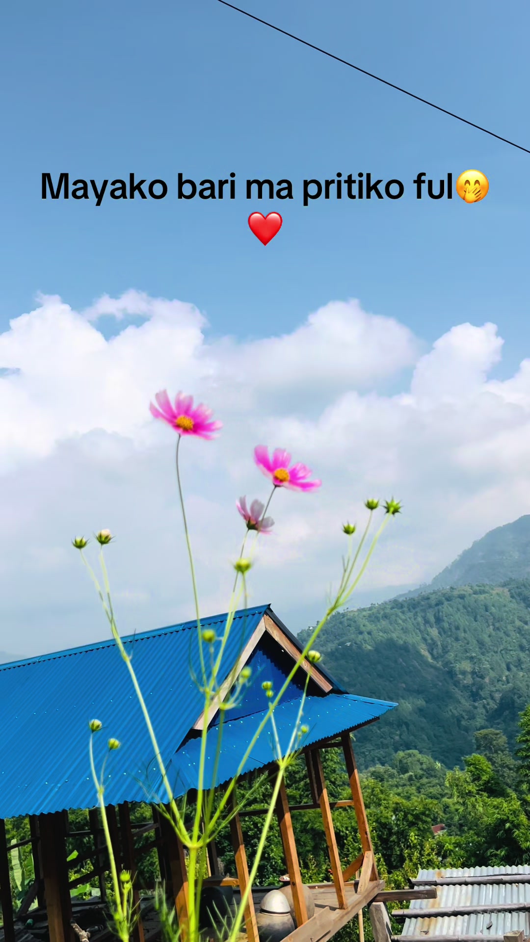 @सबि साम्सोहाङ राई 🫀🫶