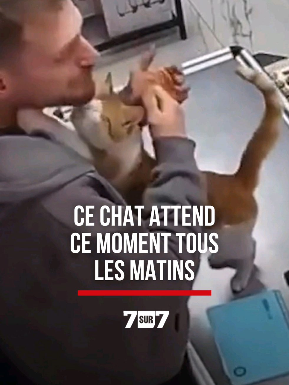 @7sur7.be