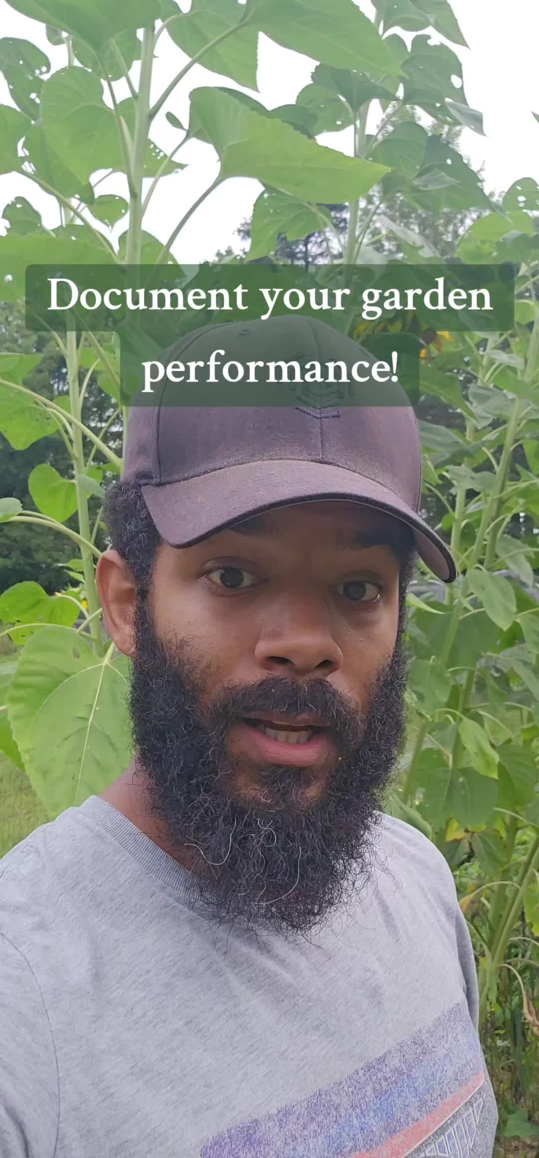 @Tyler | Designer & Homesteader