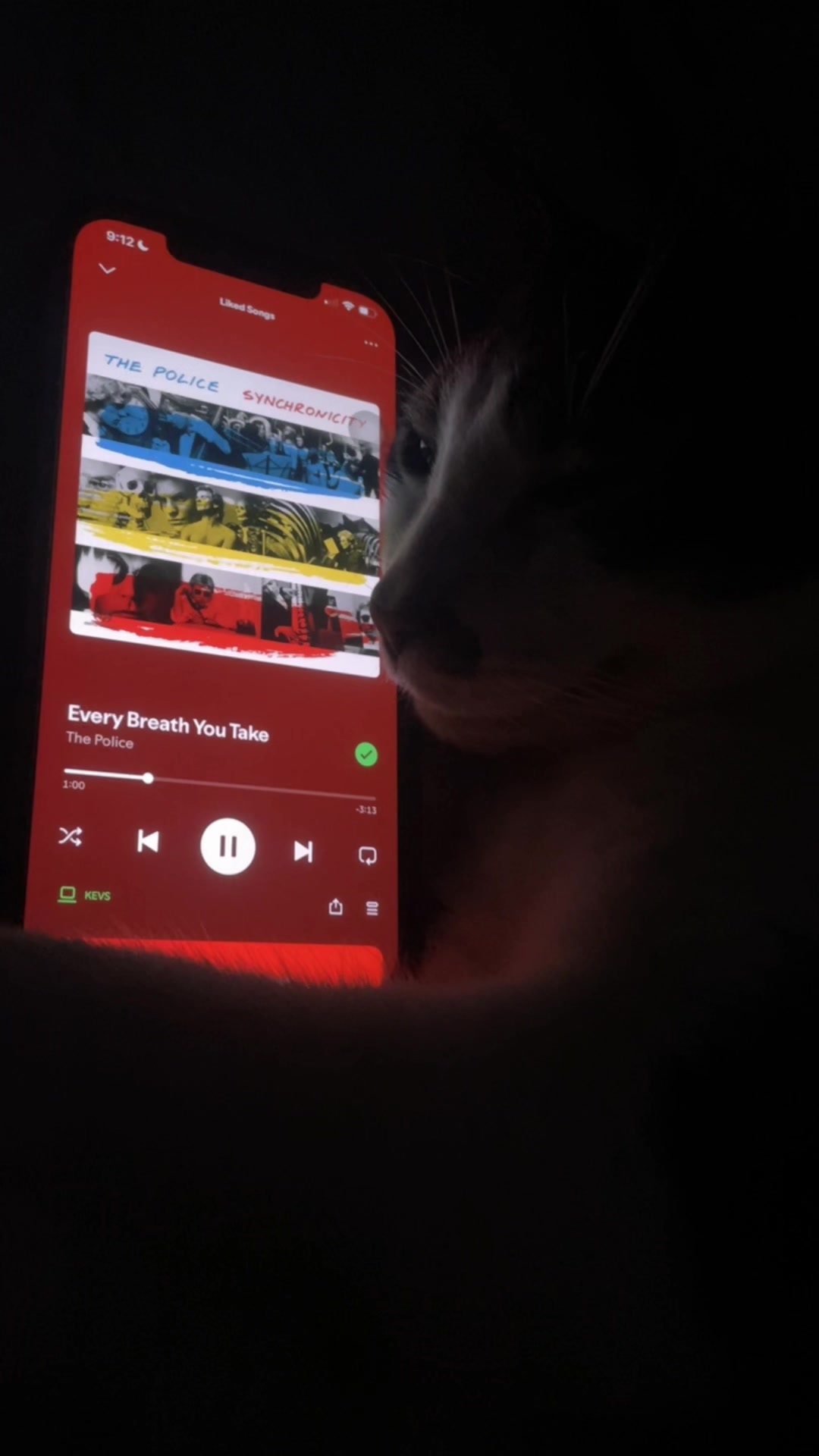 @sleepycatwithmusic