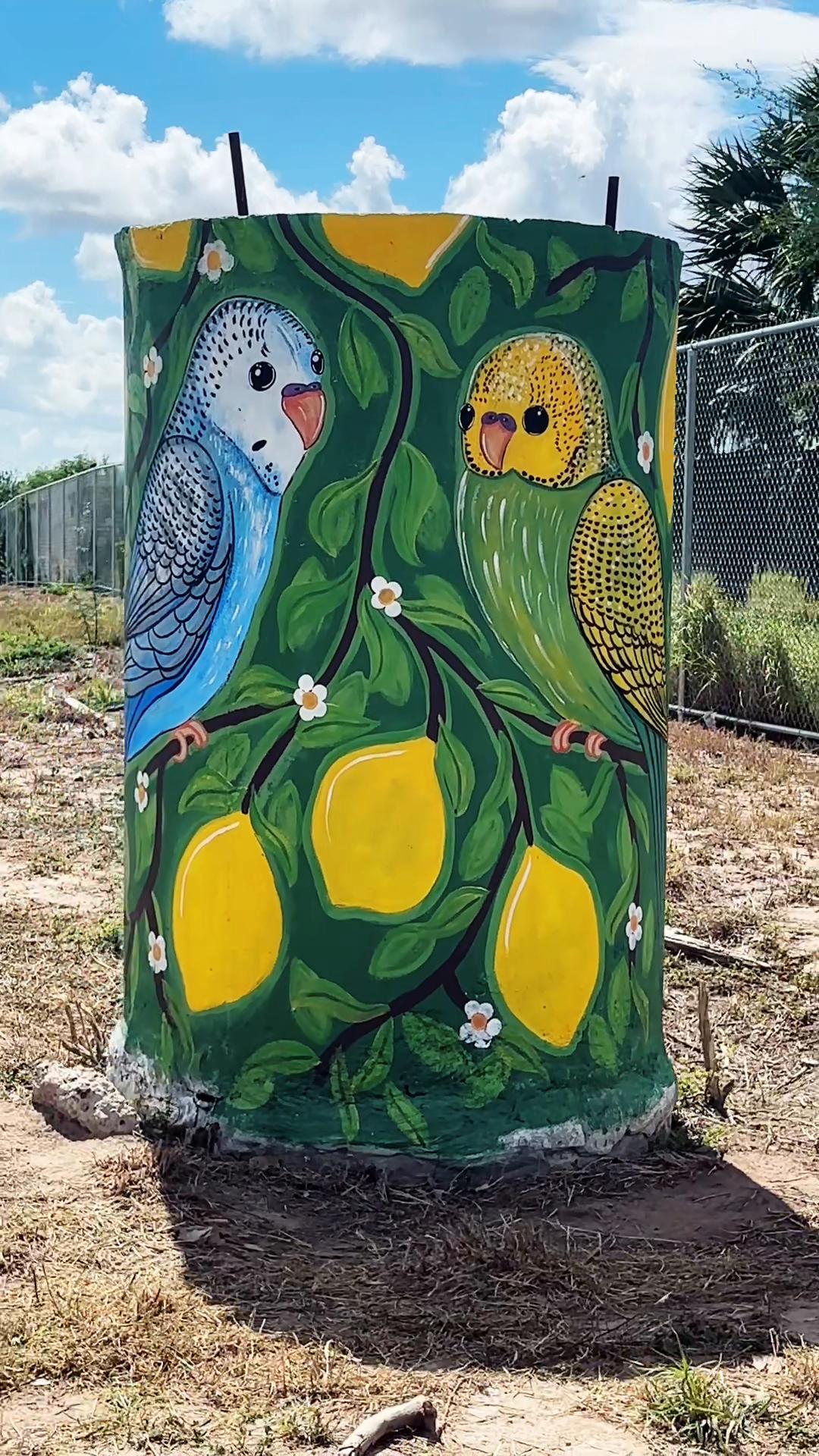 @Laura Cantu ART