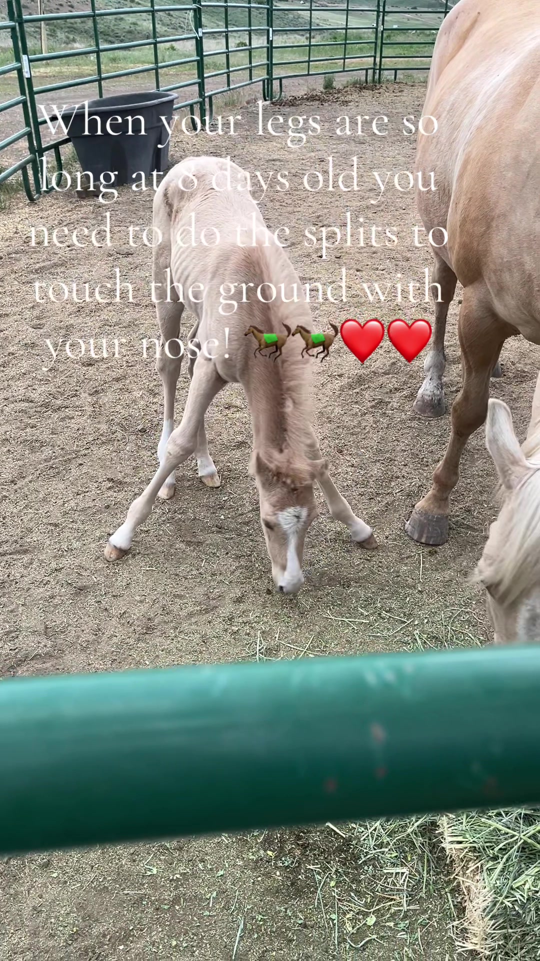 @Heidi