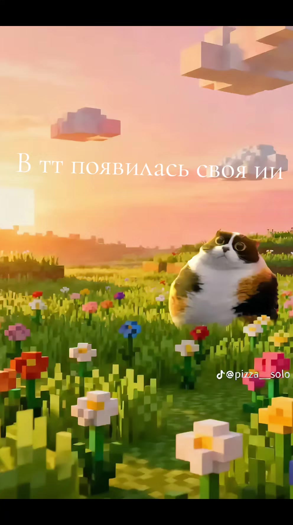 @Миксiм