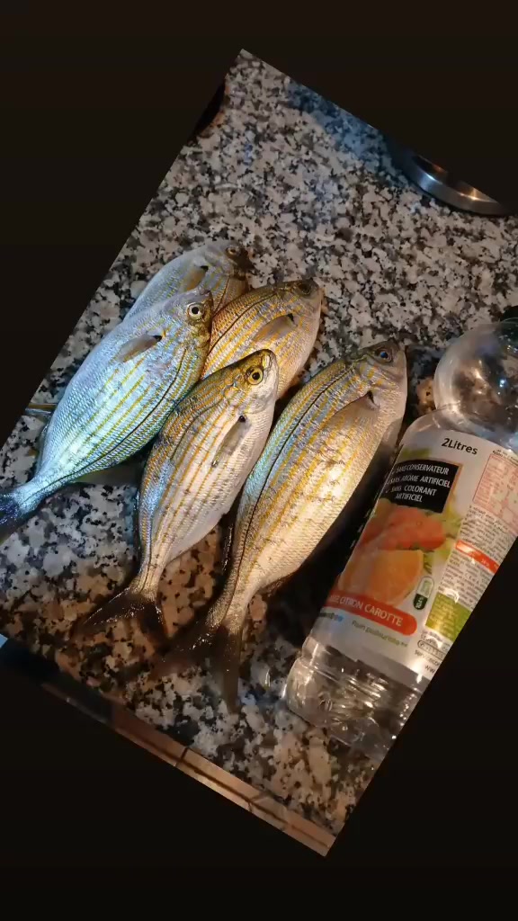 @صياد عين فراني