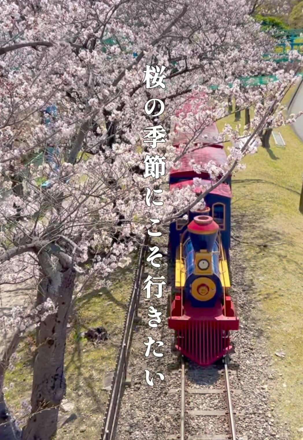 @東海映え旅nana
