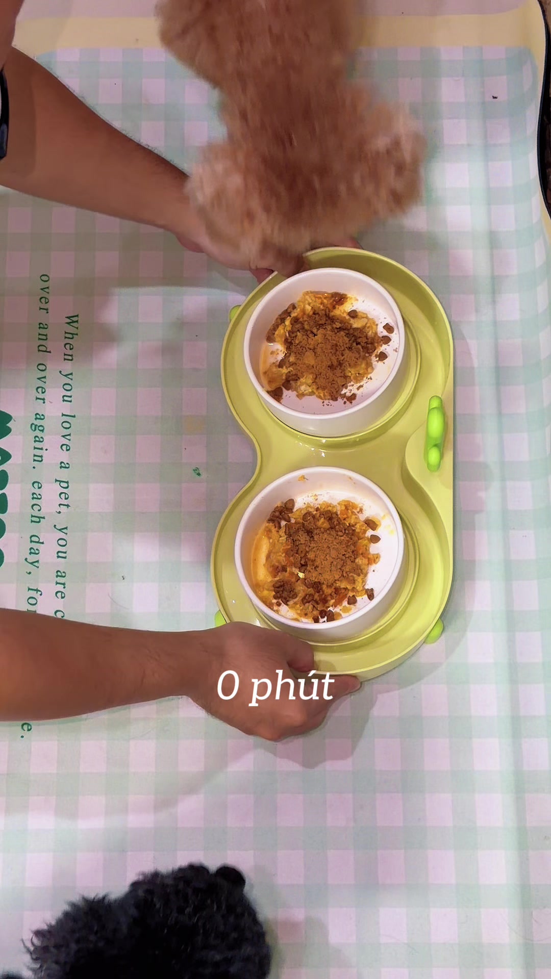 @Cái phòng nhỏ xíu