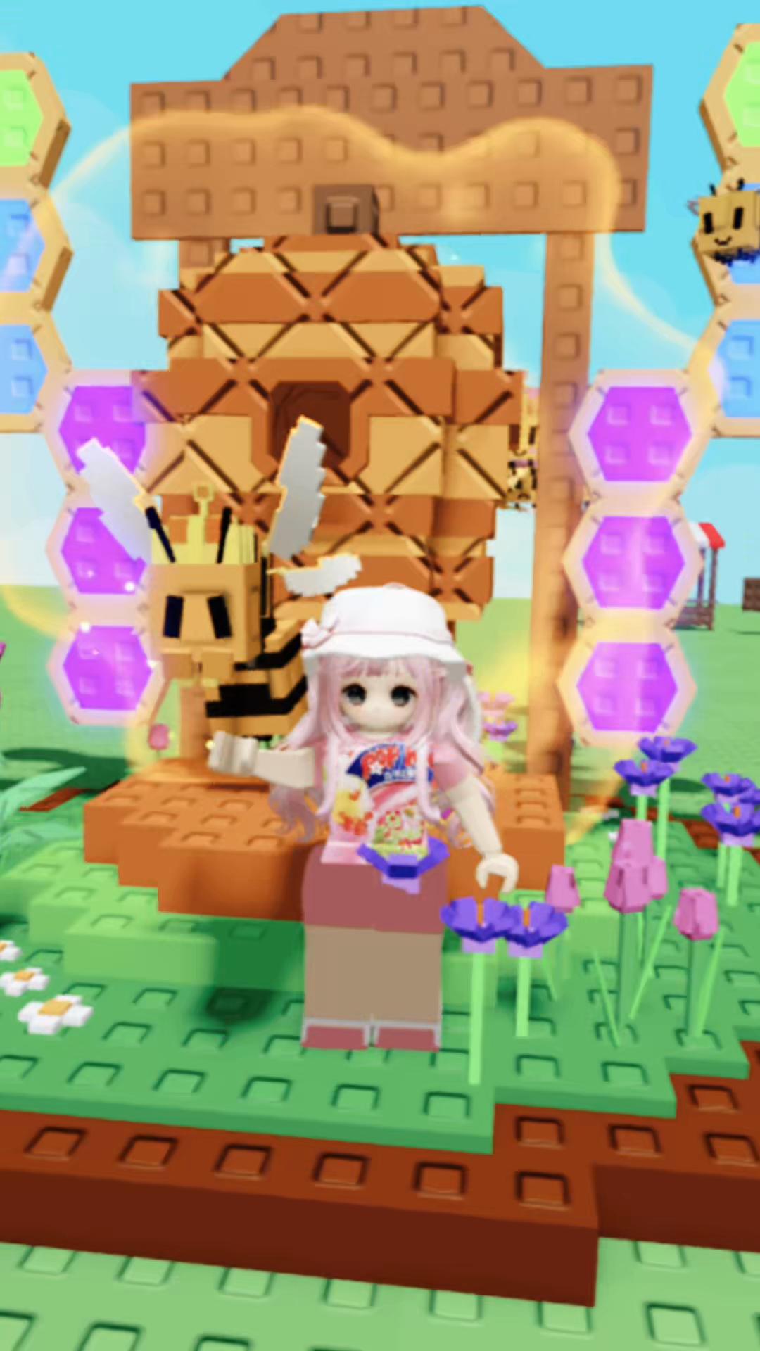 @acelll.aaa
