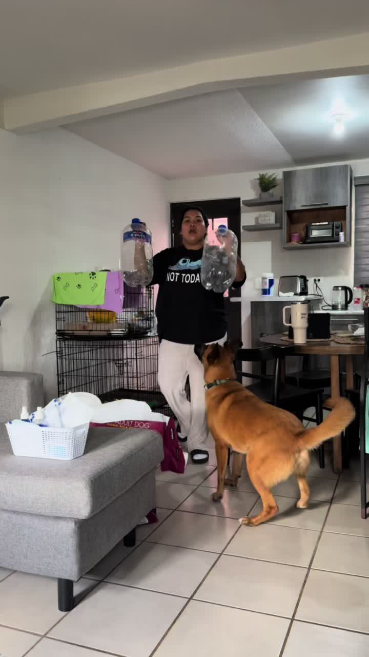 @humanaitzel