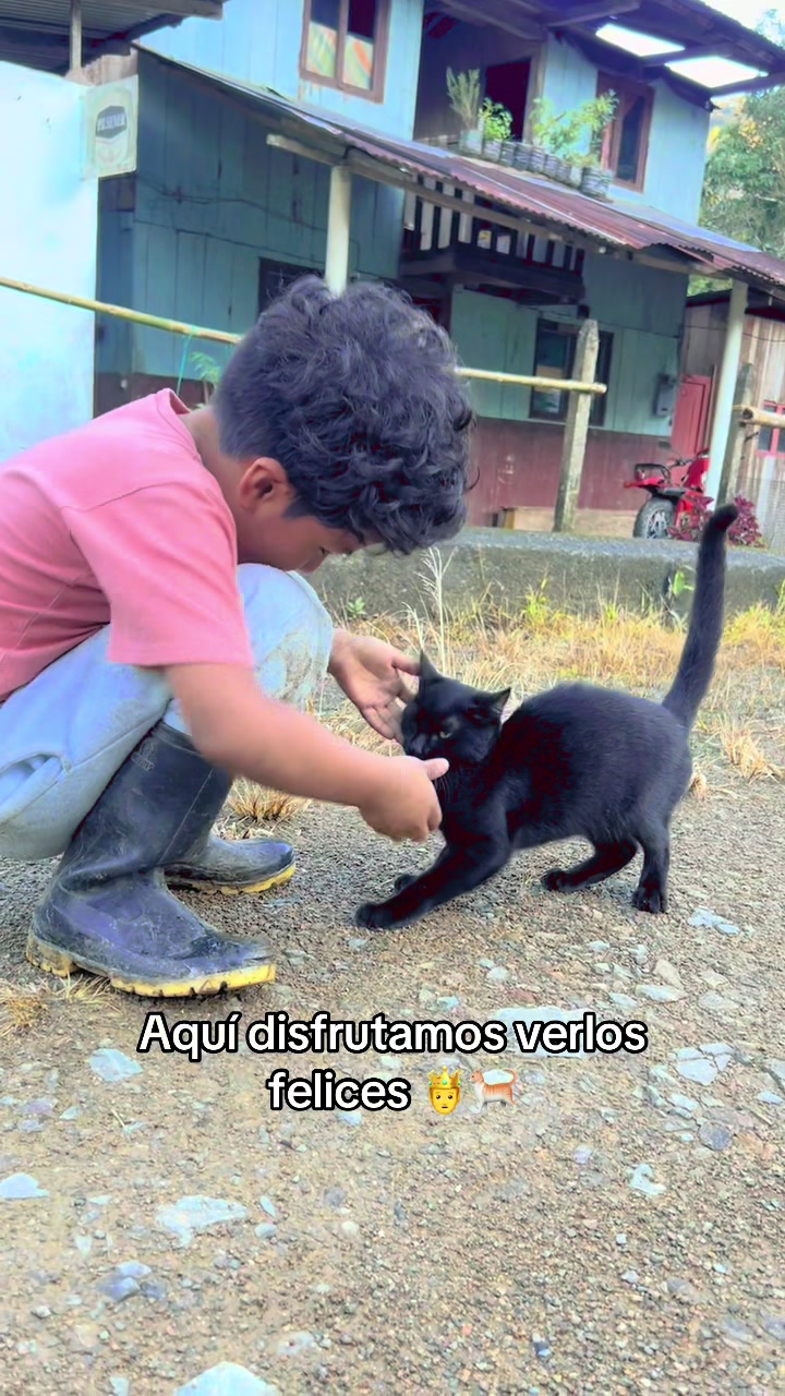 @Erick Ayabaca Vega