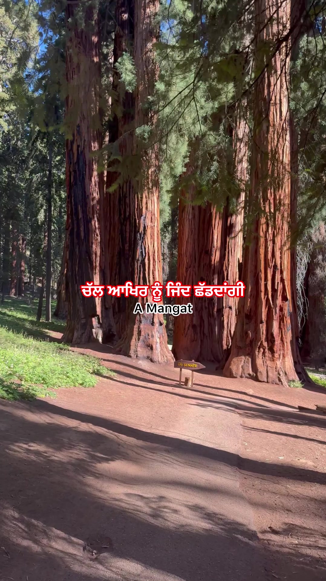 @A Mangat