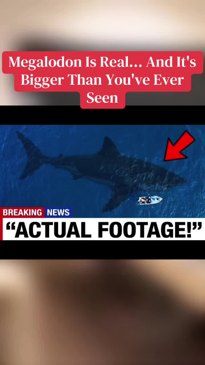 @News USA